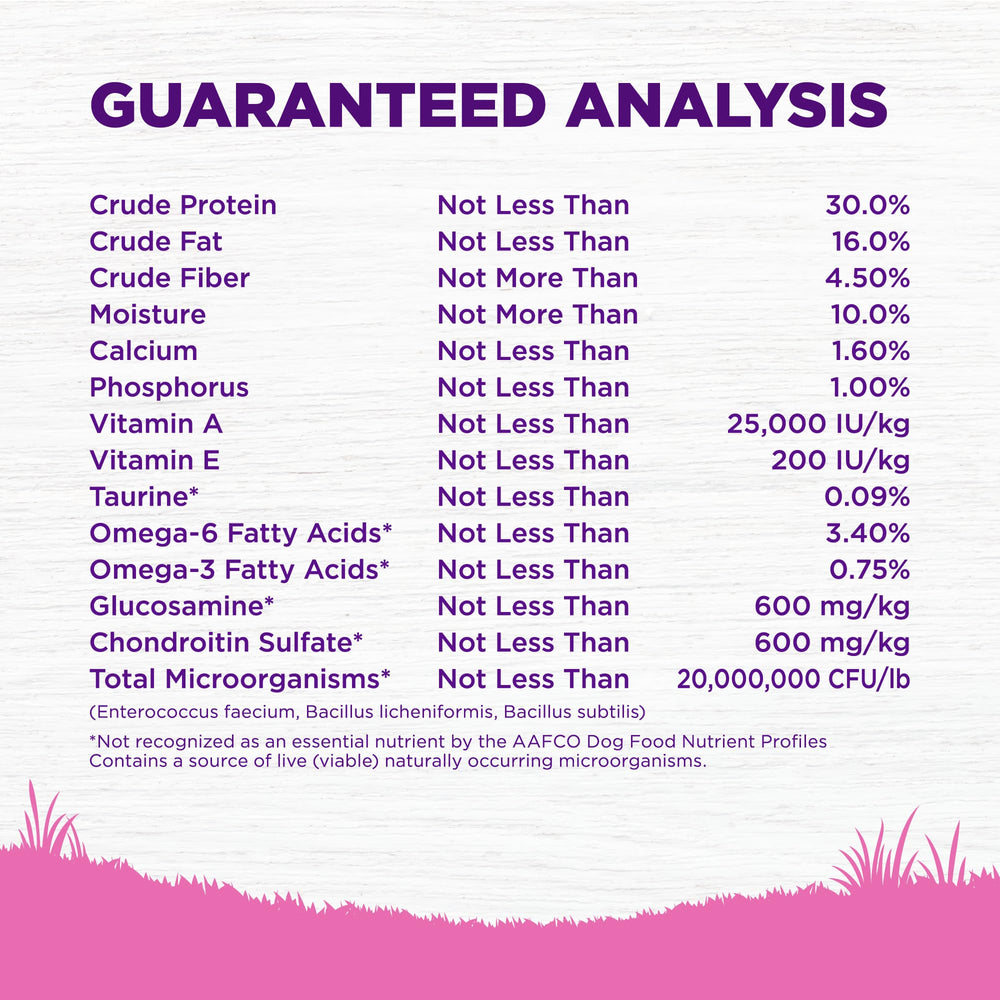 Antioxydants dans Wellness Complete Health Toy Breed soutenant l’immunité.