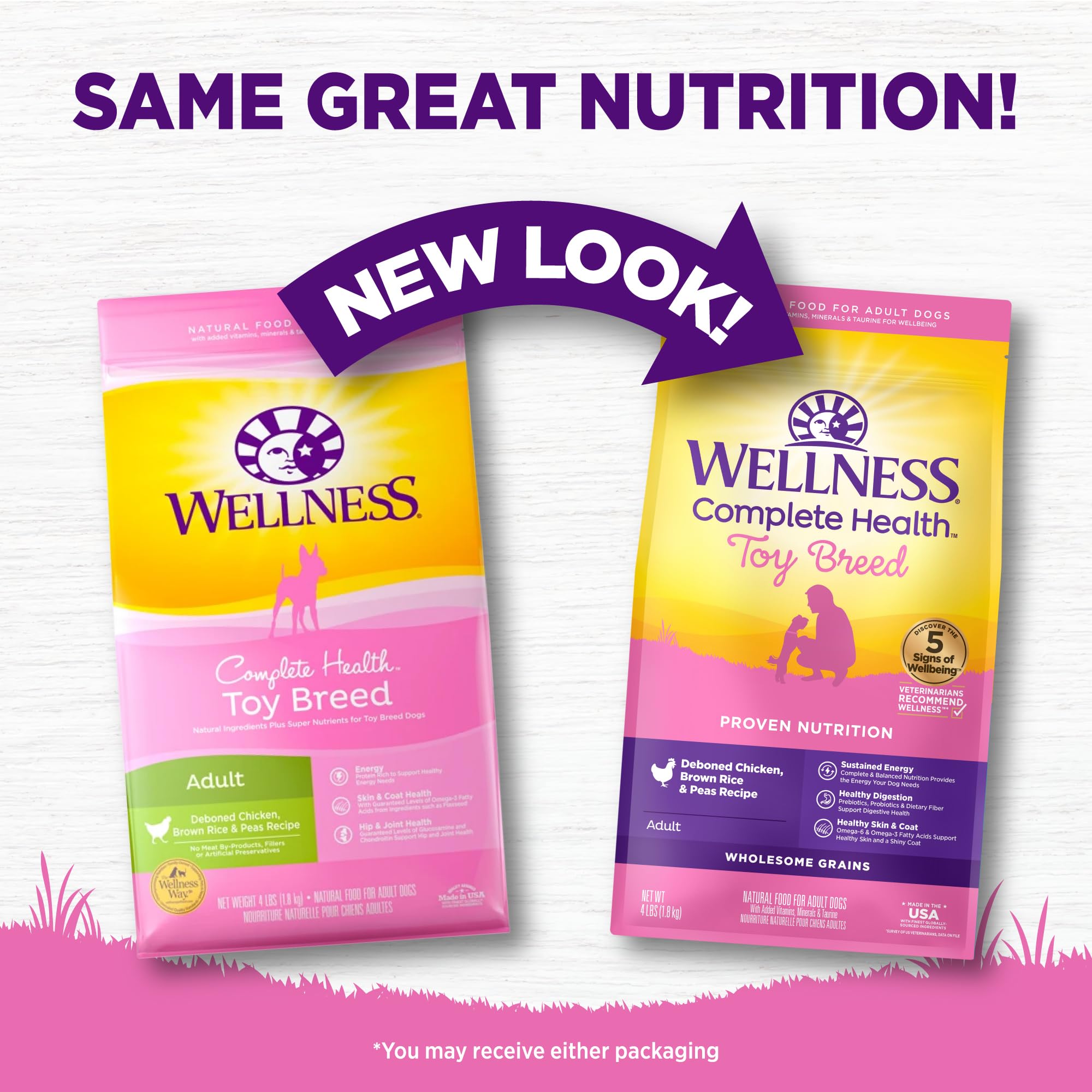 Ingrédients naturels visibles dans Wellness Complete Health Toy Breed.