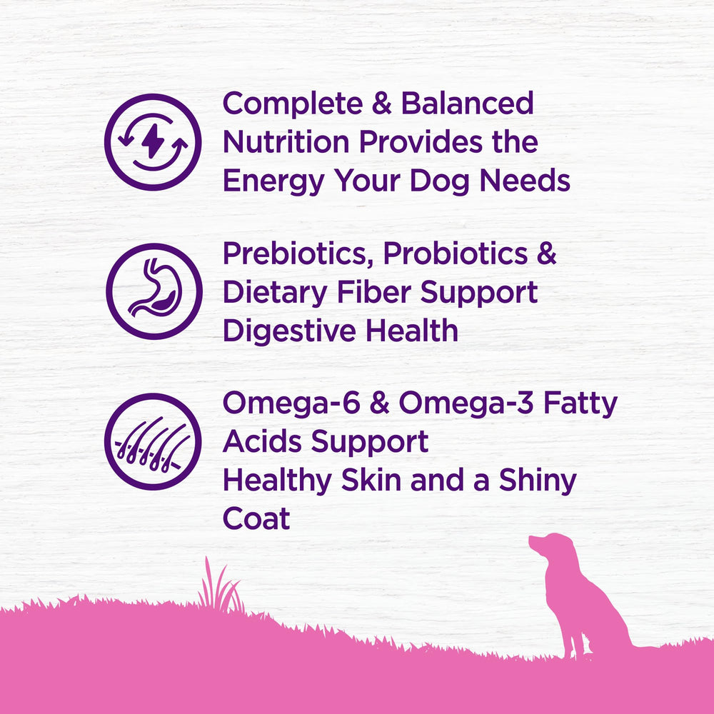 Croquettes Wellness Complete Health Toy Breed riches en oméga pour la peau et le pelage.