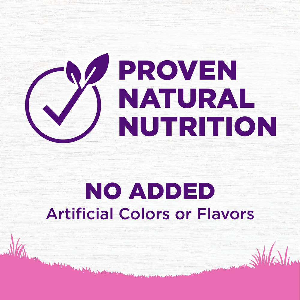 Probiotiques dans Wellness Complete Health Toy Breed soutenant la digestion.