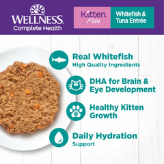 Conserve Wellness chaton ouverte montrant texture lisse et appétente.