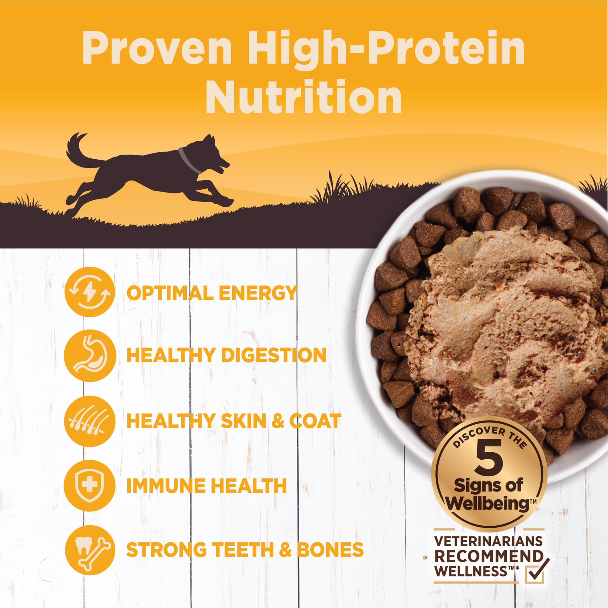 Protéines de haute qualité avec Wellness Core pour chien actif.