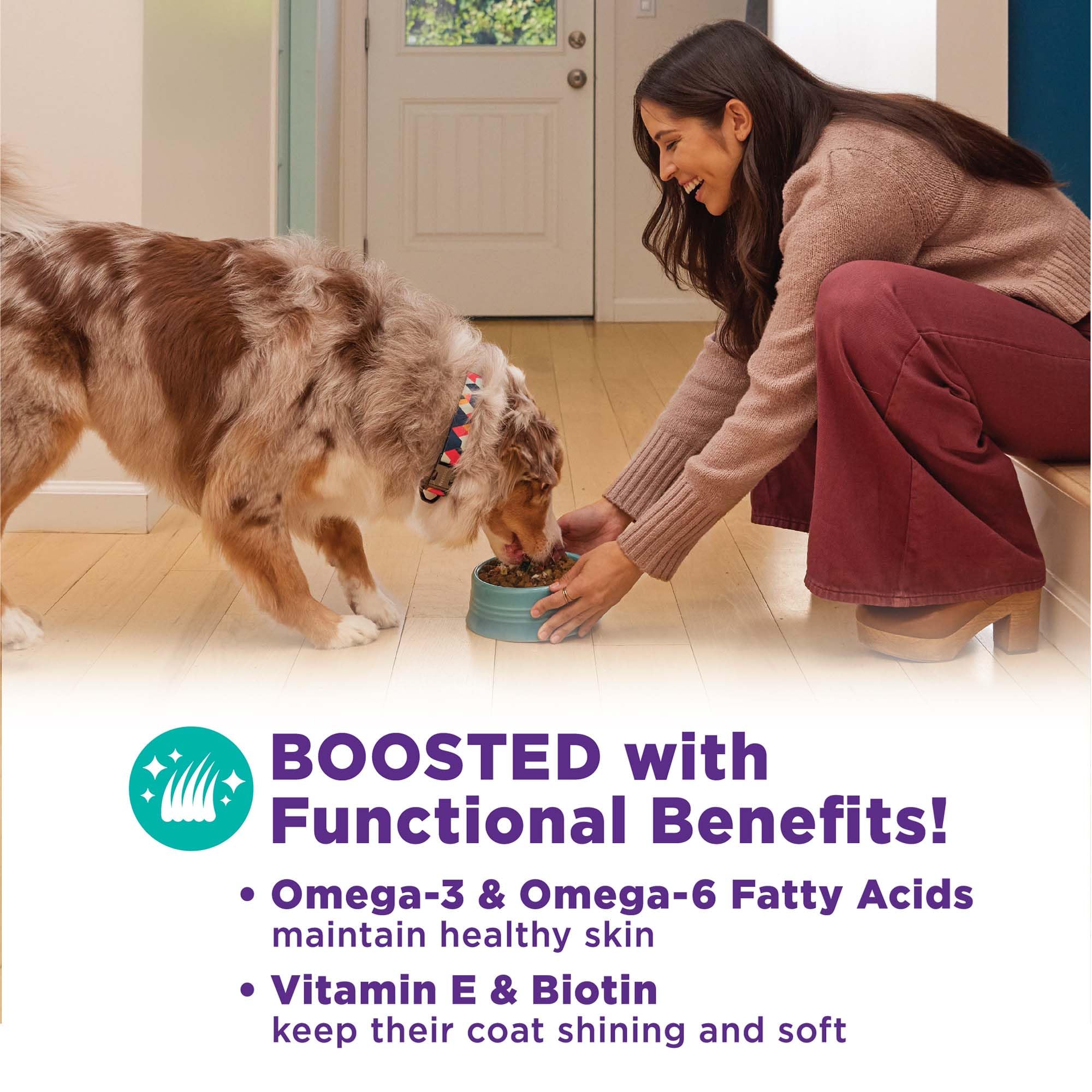 Wellness CORE Bowl Boosters texture croquante stimulant l'appétit du chien.