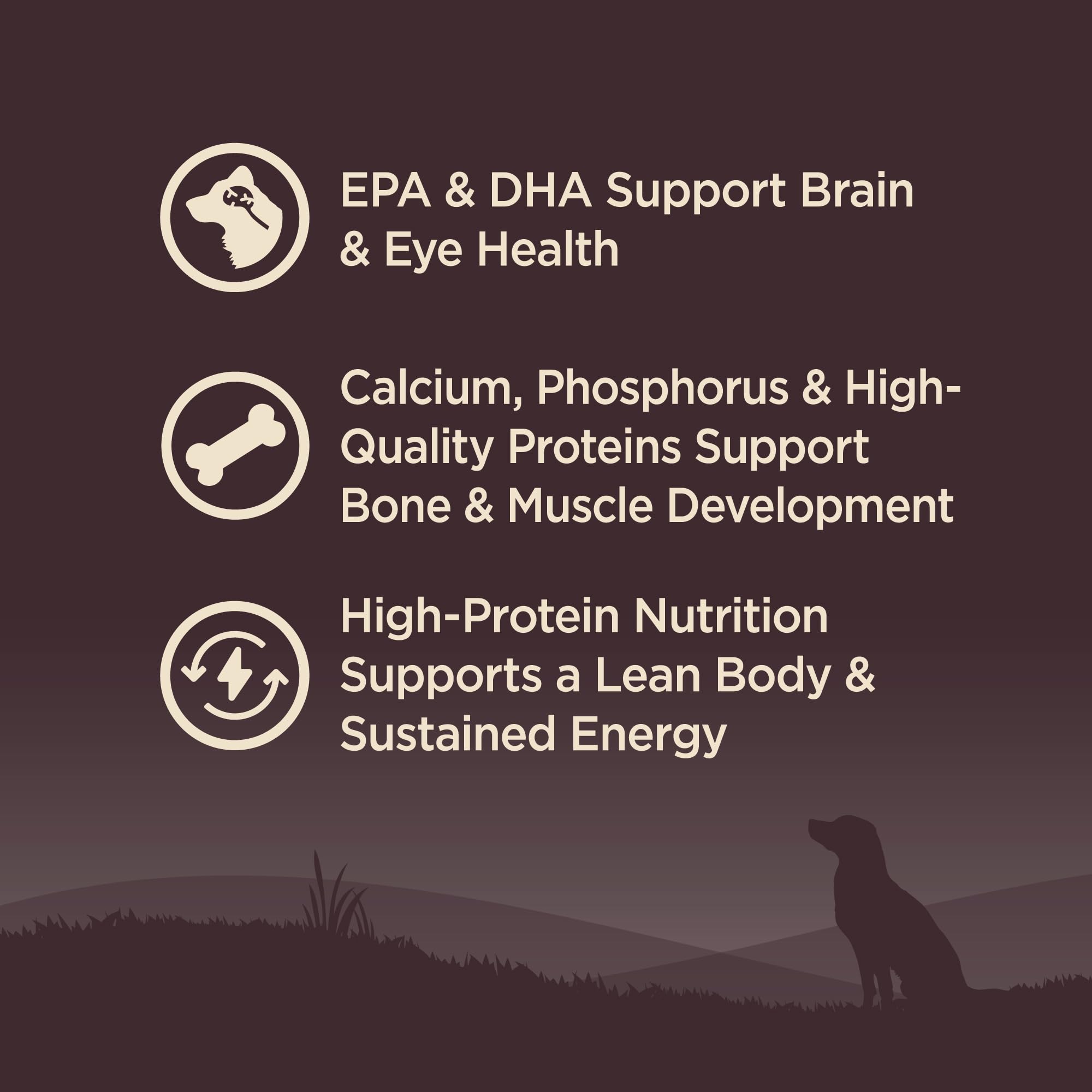 Wellness Core calcium et phosphore: soutien des os et dents des chiots.
