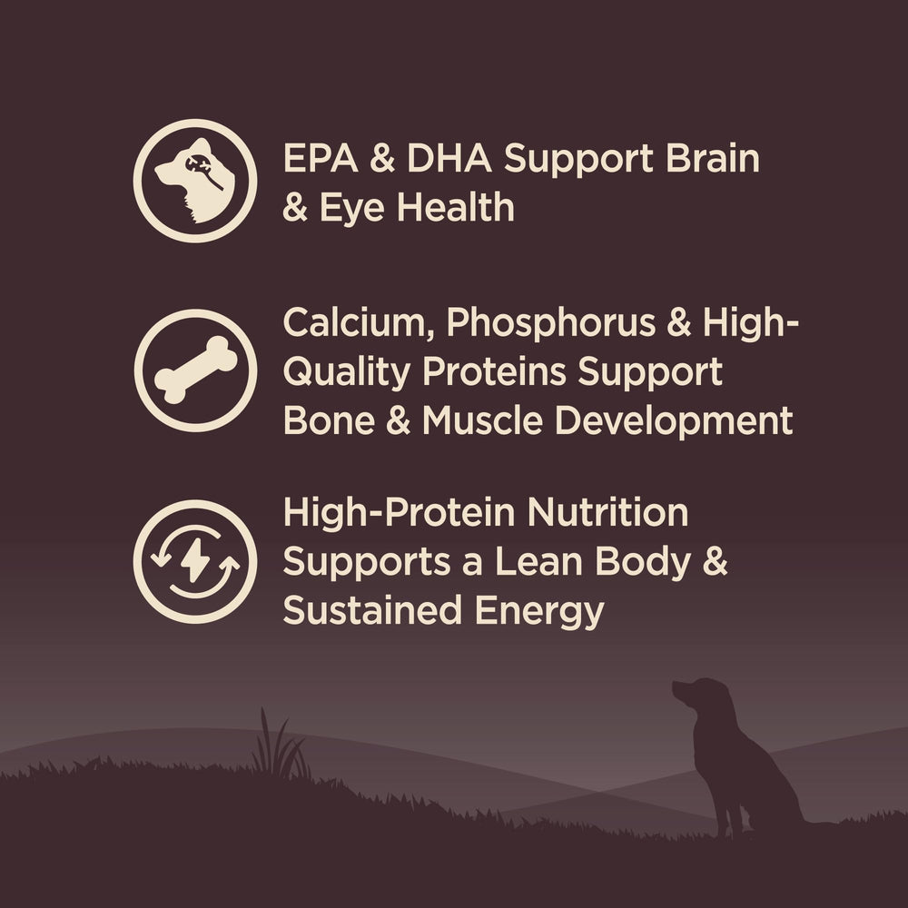 Wellness Core calcium et phosphore: soutien des os et dents des chiots.