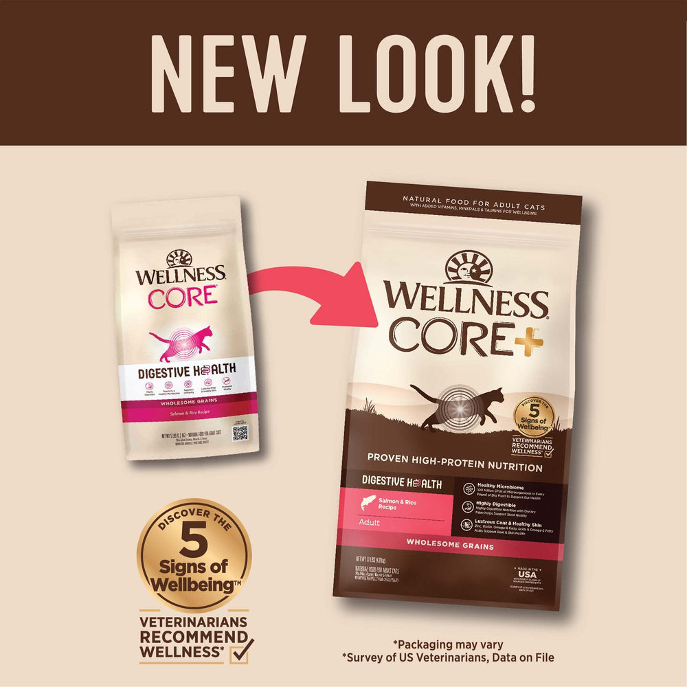 Wellness CORE+ Chat mange croquettes dans bol, énergie quotidienne.