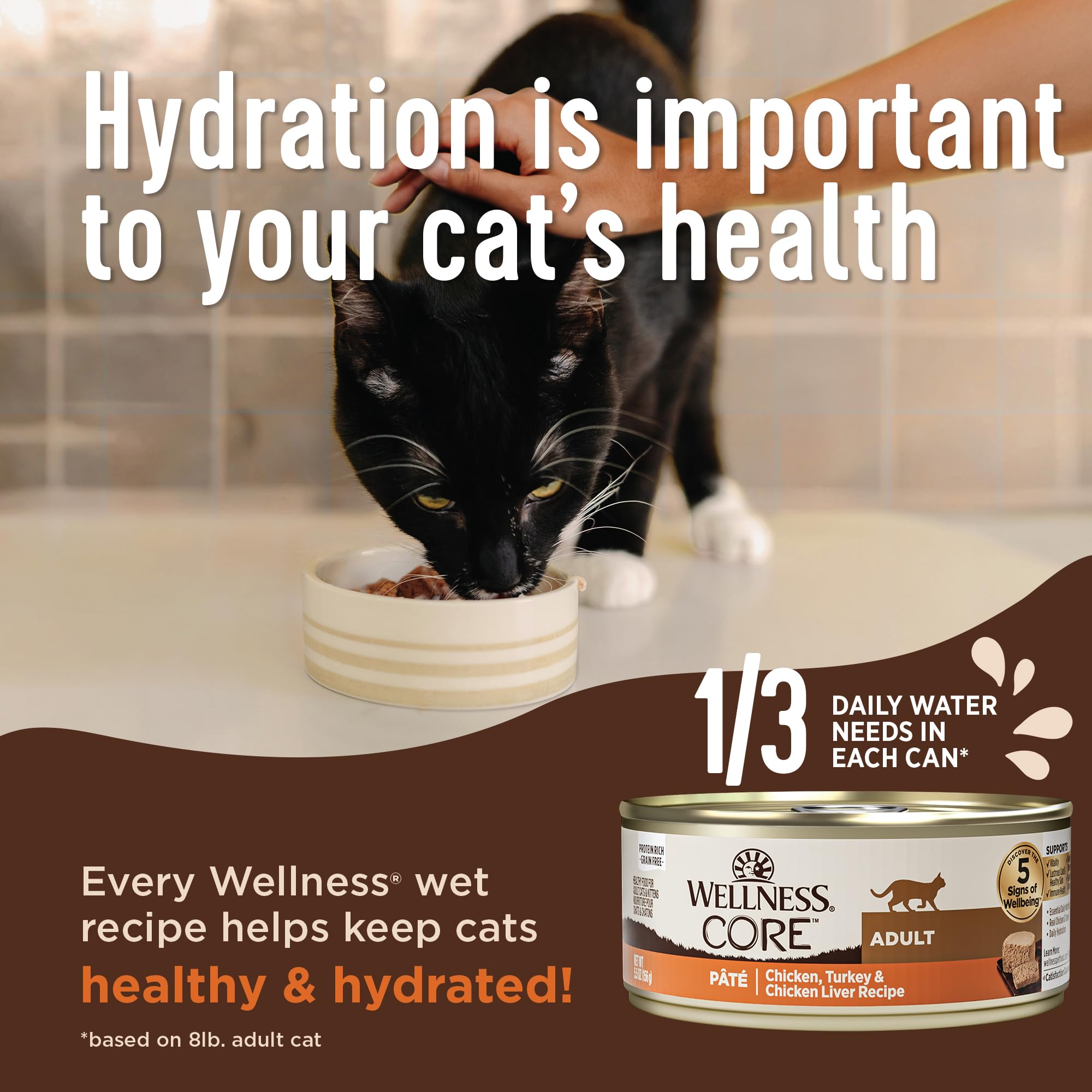 Wellness CORE+ Chat sans céréales, pâté poulet apprécié par les chats.