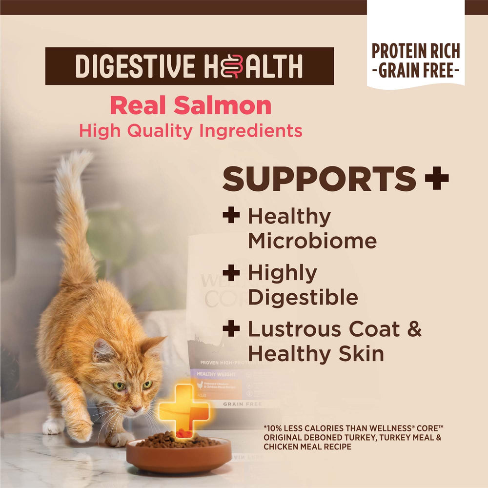 Wellness CORE+ Chat croquettes saumon et riz, texture croquante.