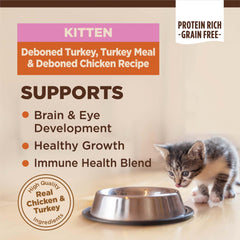 Bol rempli de croquettes Wellness Core, texture croquante qui plait au chaton.