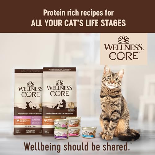 Conseils d’utilisation Wellness Core chaton, service à température ambiante