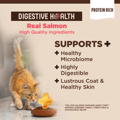 Wellness CORE+ Chat saumon et riz croquettes premier plan