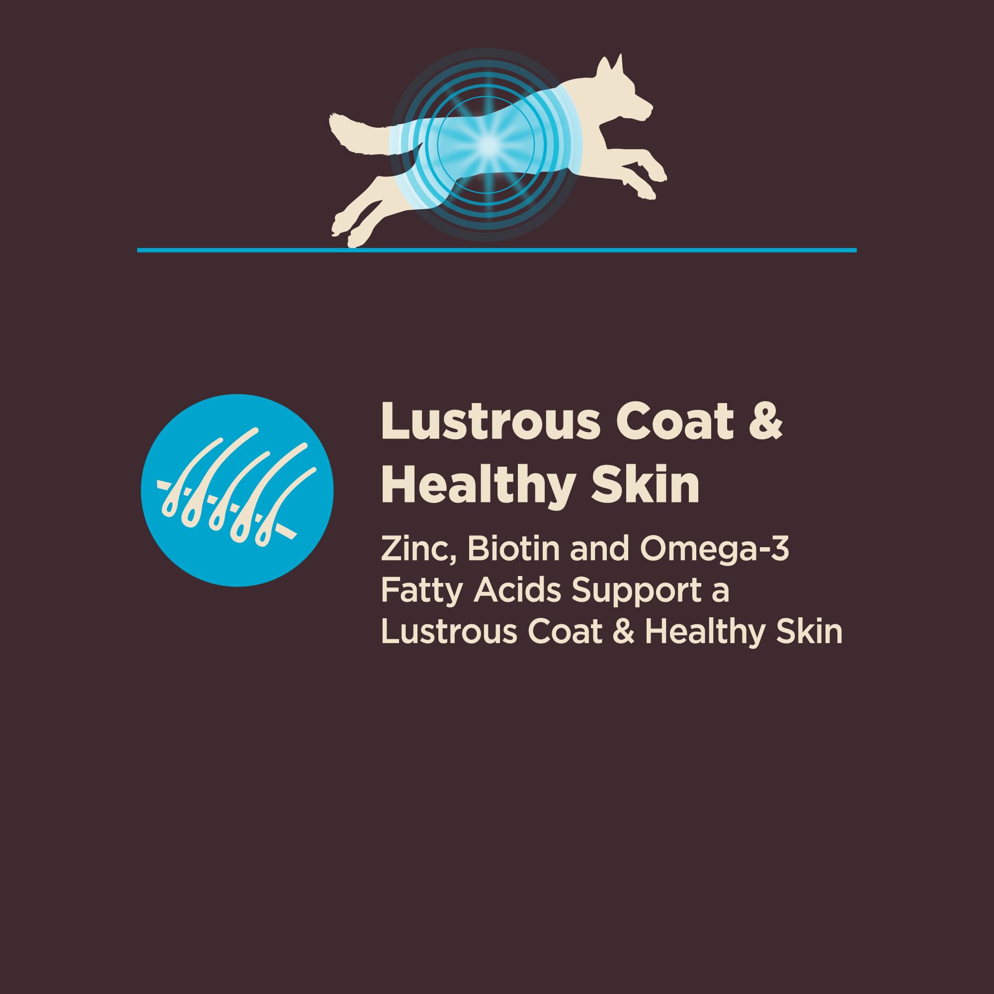 Wellness Core Digestive Health: fibres prébiotiques soutiennent l'équilibre intestinal.