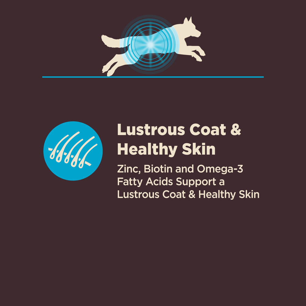 Wellness Core Digestive Health: fibres prébiotiques soutiennent l'équilibre intestinal.