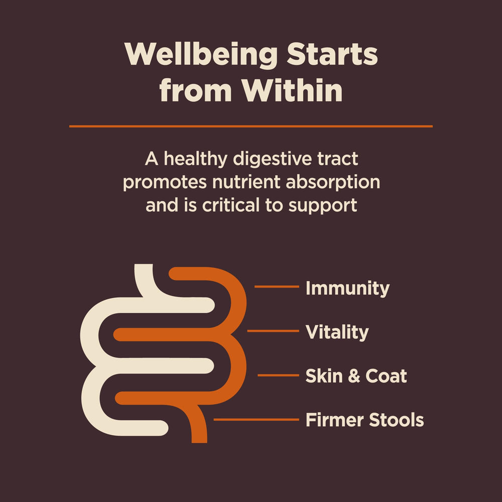 Wellness CORE Digestive Health: microbiome sain, peau et pelage sains.