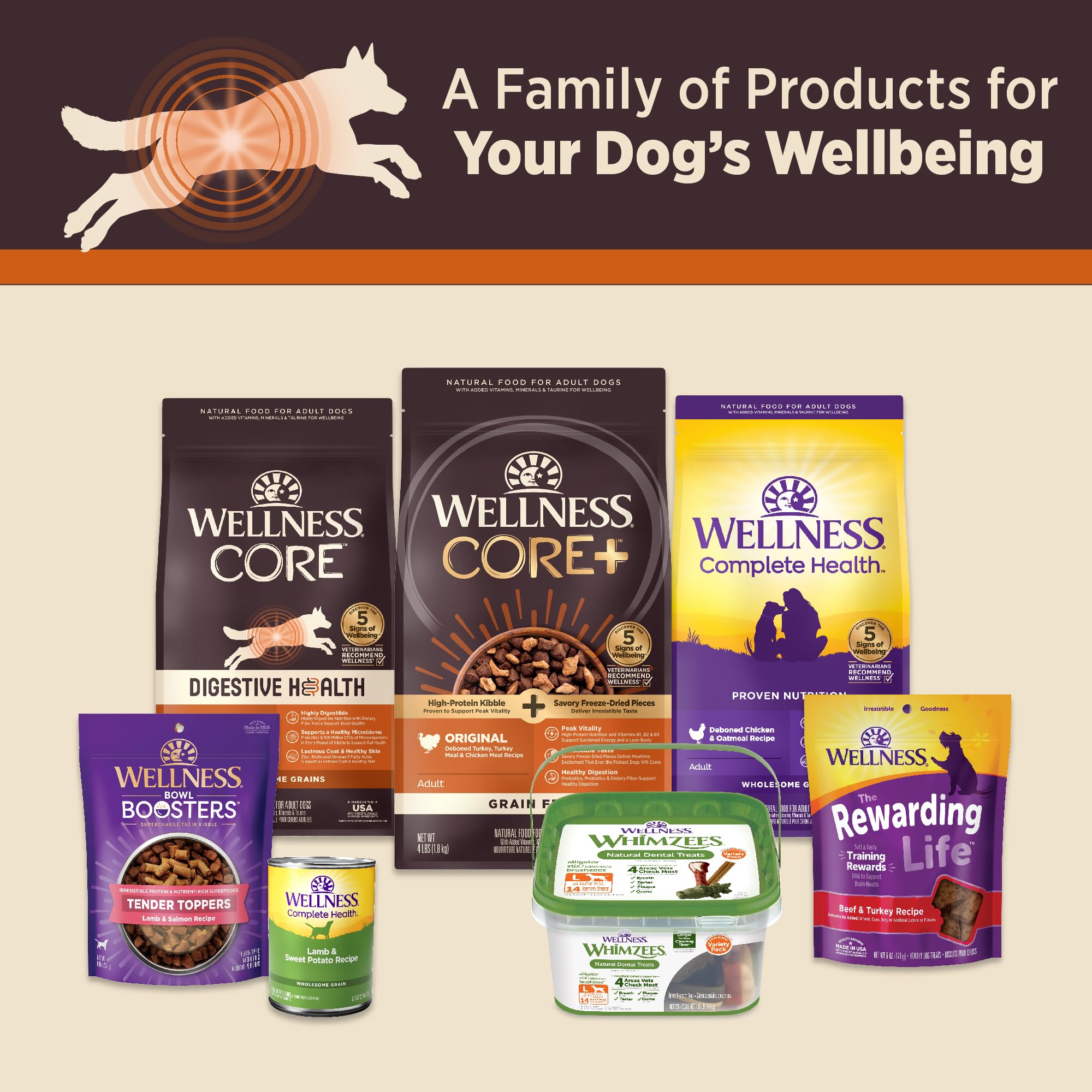 Pack pratique de 12 boîtes Wellness Core Digestive Health.