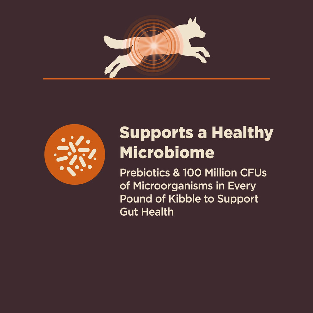 Wellness CORE Digestive Health: prébiotiques et fibres, soutien du microbiome.