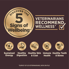 Wellness CORE Digestive Health: probiotiques enrobage, flore intestinale équilibrée.