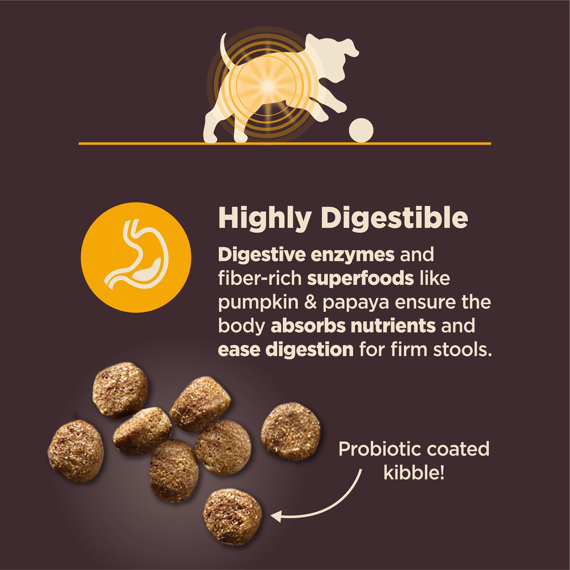 Wellness CORE Digestive Health, enzymes digestives dans la croquette, soutien digestif.