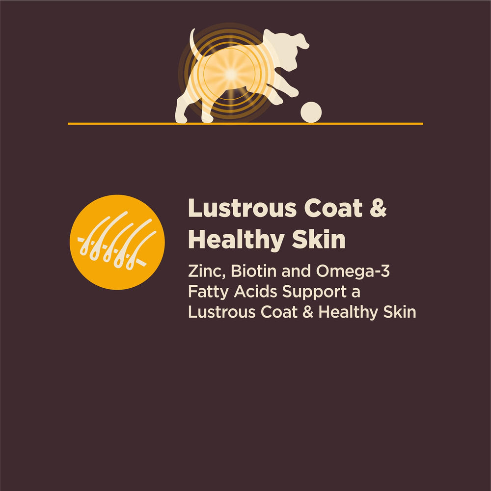 Wellness CORE Digestive Health, probiotiques garantis pour chiot, flore intestinale équilibrée.