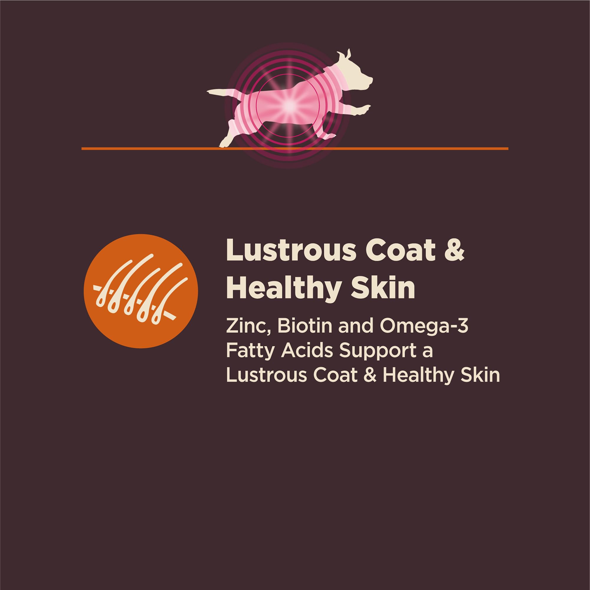 Soutien immunitaire et microbiome avec Wellness CORE Digestive Health.