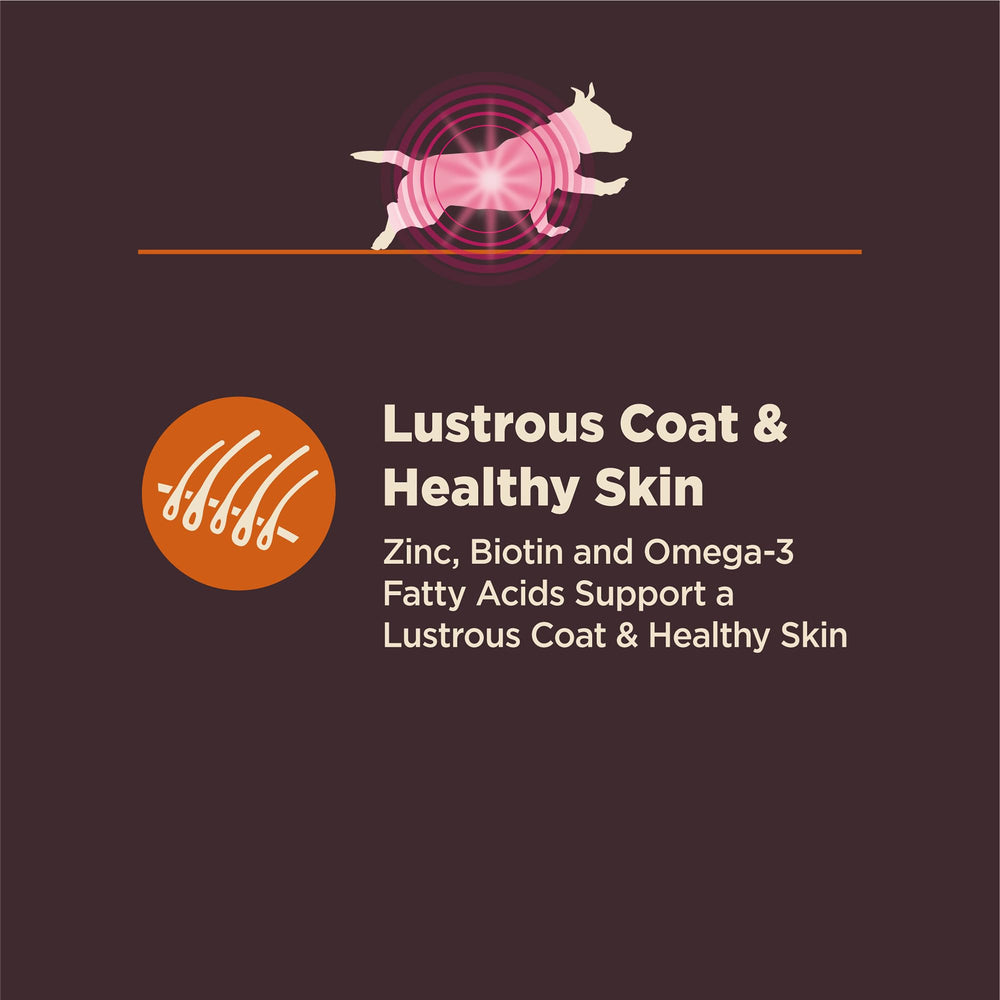 Soutien immunitaire et microbiome avec Wellness CORE Digestive Health.