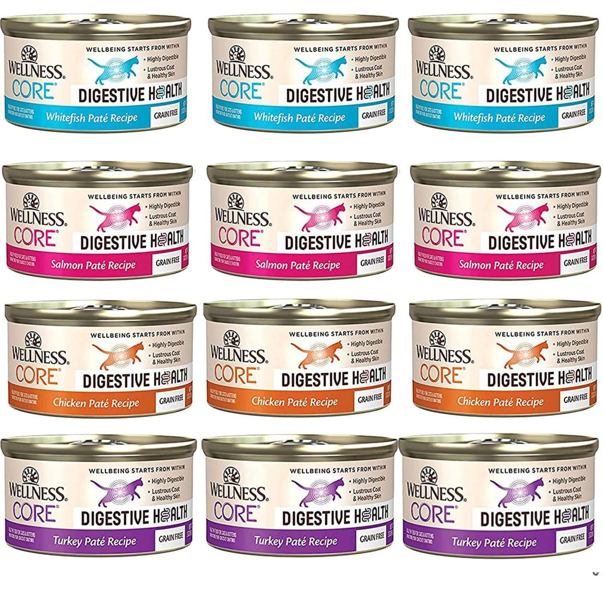 Wellness Core Digestive Pâté chat: emballage pratique de 12 boîtes pour alimentation quotidienne.