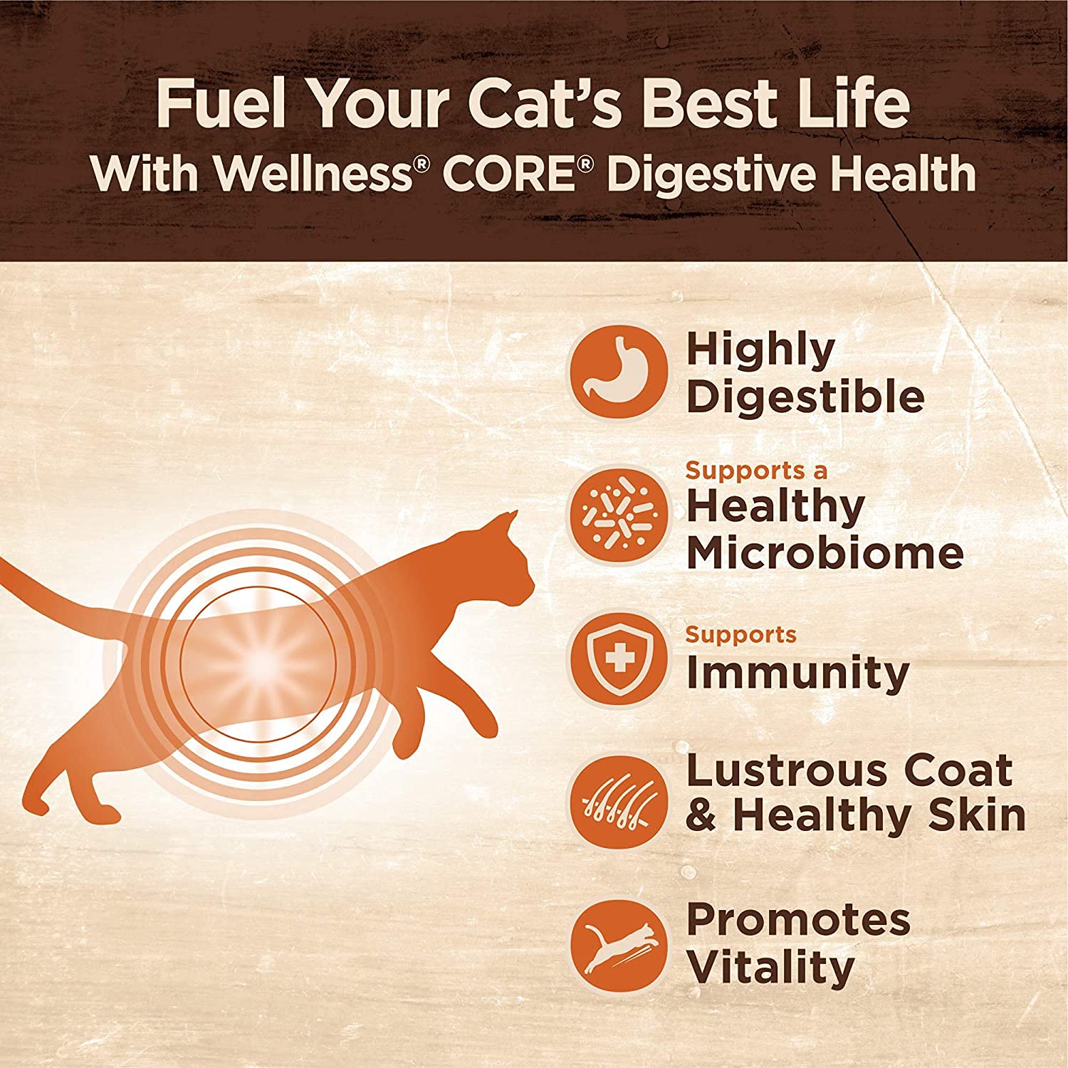 Pâté Wellness Core Digestive chat poulet: texture onctueuse et appétence naturelle.