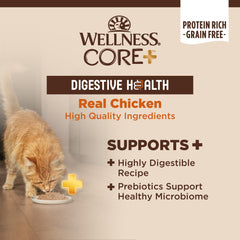 Wellness CORE+ Pâté poulet – premier ingrédient poulet pour digestion douce