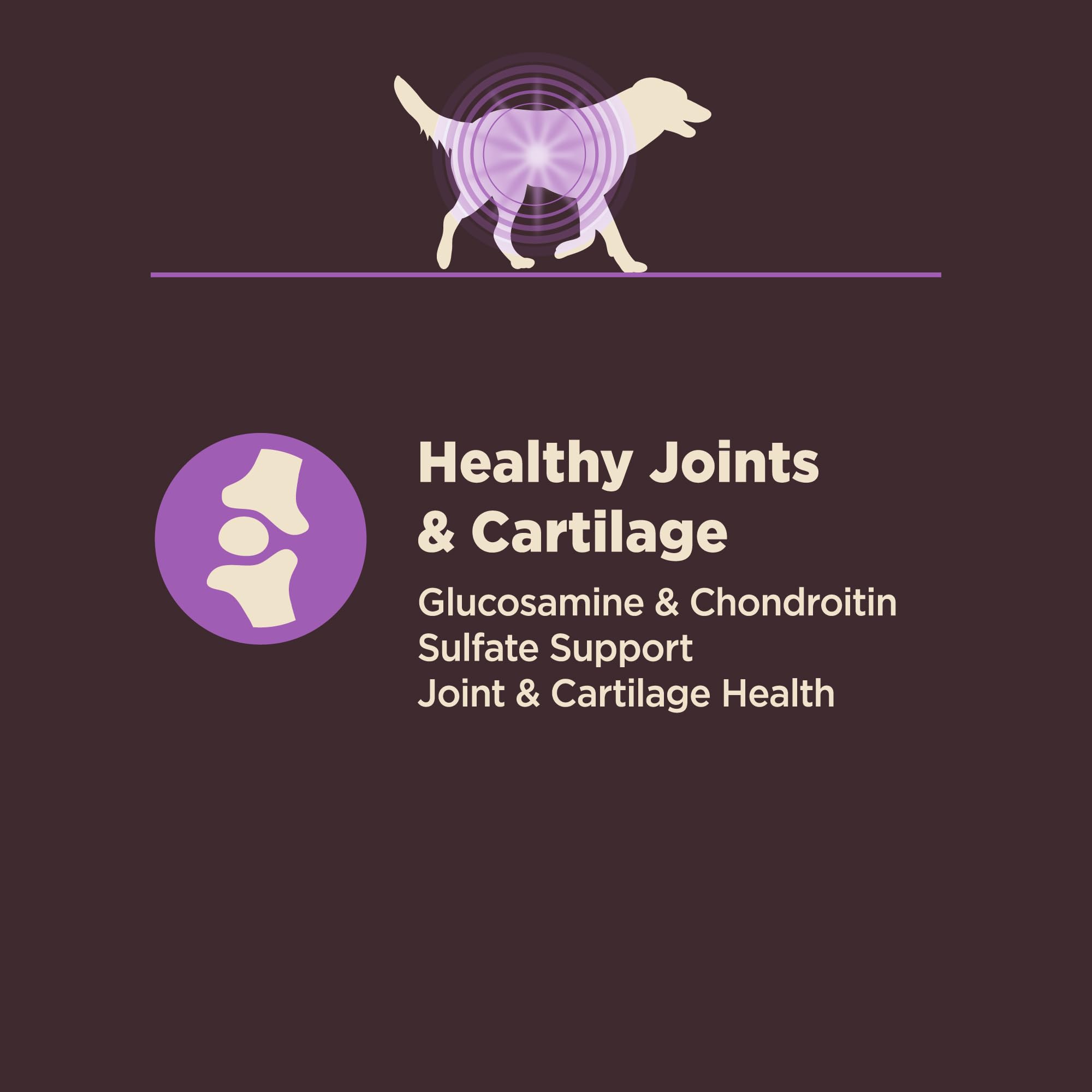 Emballage Wellness Core Digestive Health Senior fabriqué aux États-Unis, ingrédients de qualité.