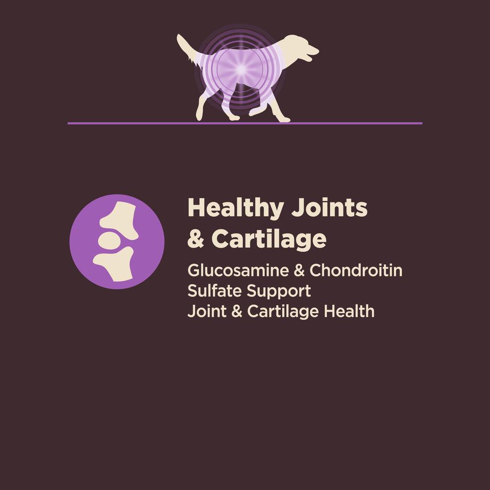 Emballage Wellness Core Digestive Health Senior fabriqué aux États-Unis, ingrédients de qualité.