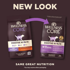 Gros plan sur les croquettes Wellness Core Digestive Health Senior, texture appétente.