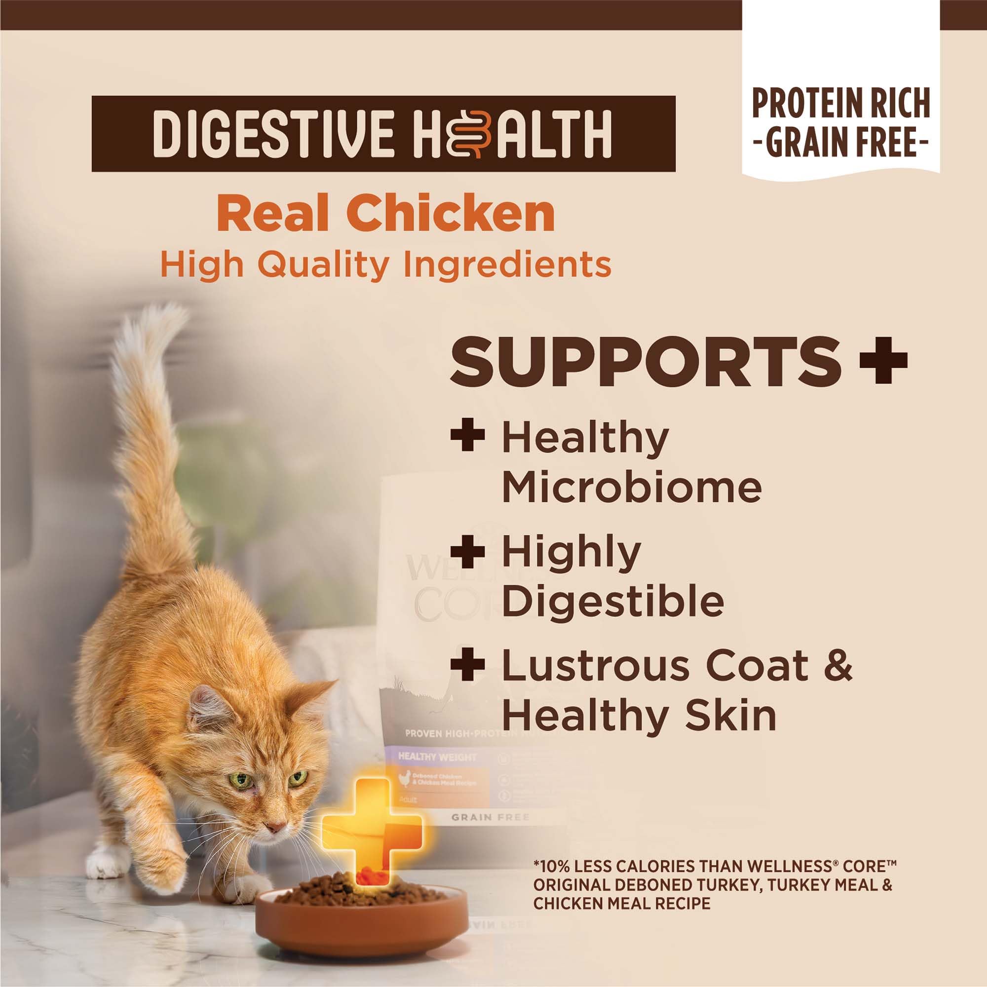 Croquettes enrobées de probiotiques Wellness CORE+ pour équilibre intestinal.
