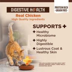 Croquettes enrobées de probiotiques Wellness CORE+ pour équilibre intestinal.