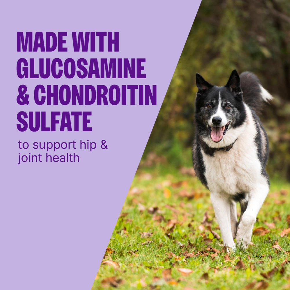 Friandises de formation Wellness CORE croquantes, récompense pratique pour l'entraînement canin.