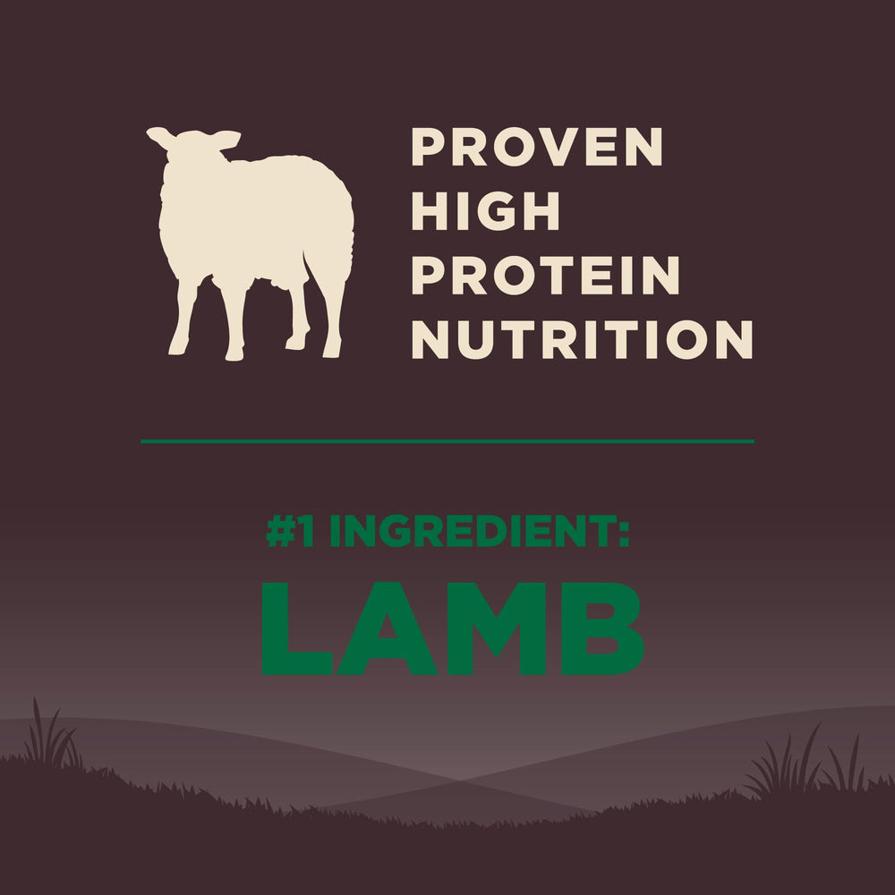 Wellness CORE glucosamine pour articulations et mobilité quotidiennes.