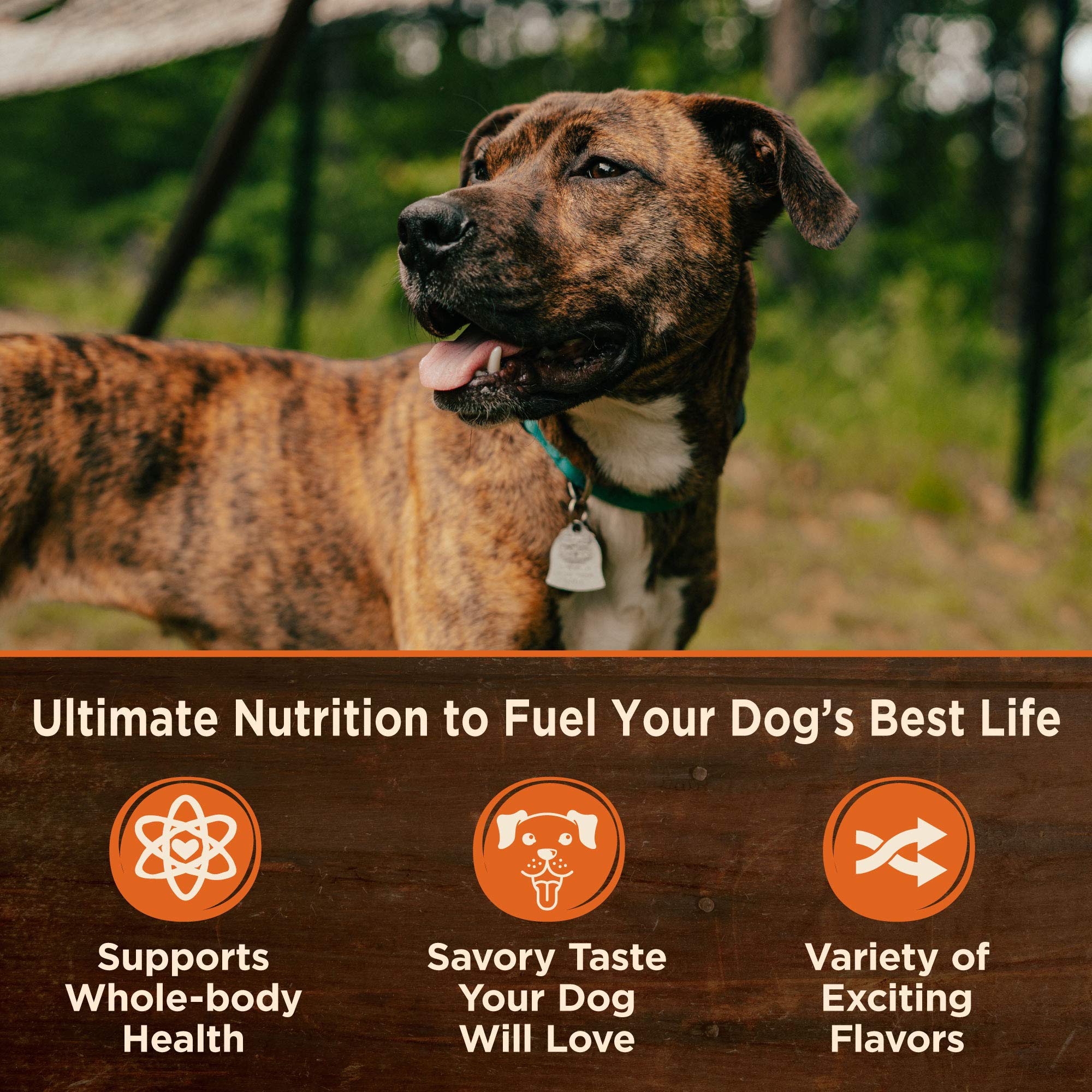 Wellness CORE Hearty Cuts — plat pour chien, portions moelleuses et savoureuses.