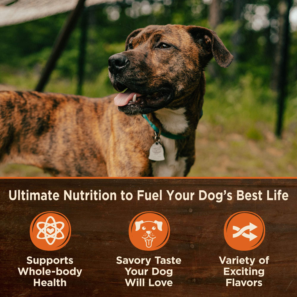 Wellness CORE Hearty Cuts — plat pour chien, portions moelleuses et savoureuses.