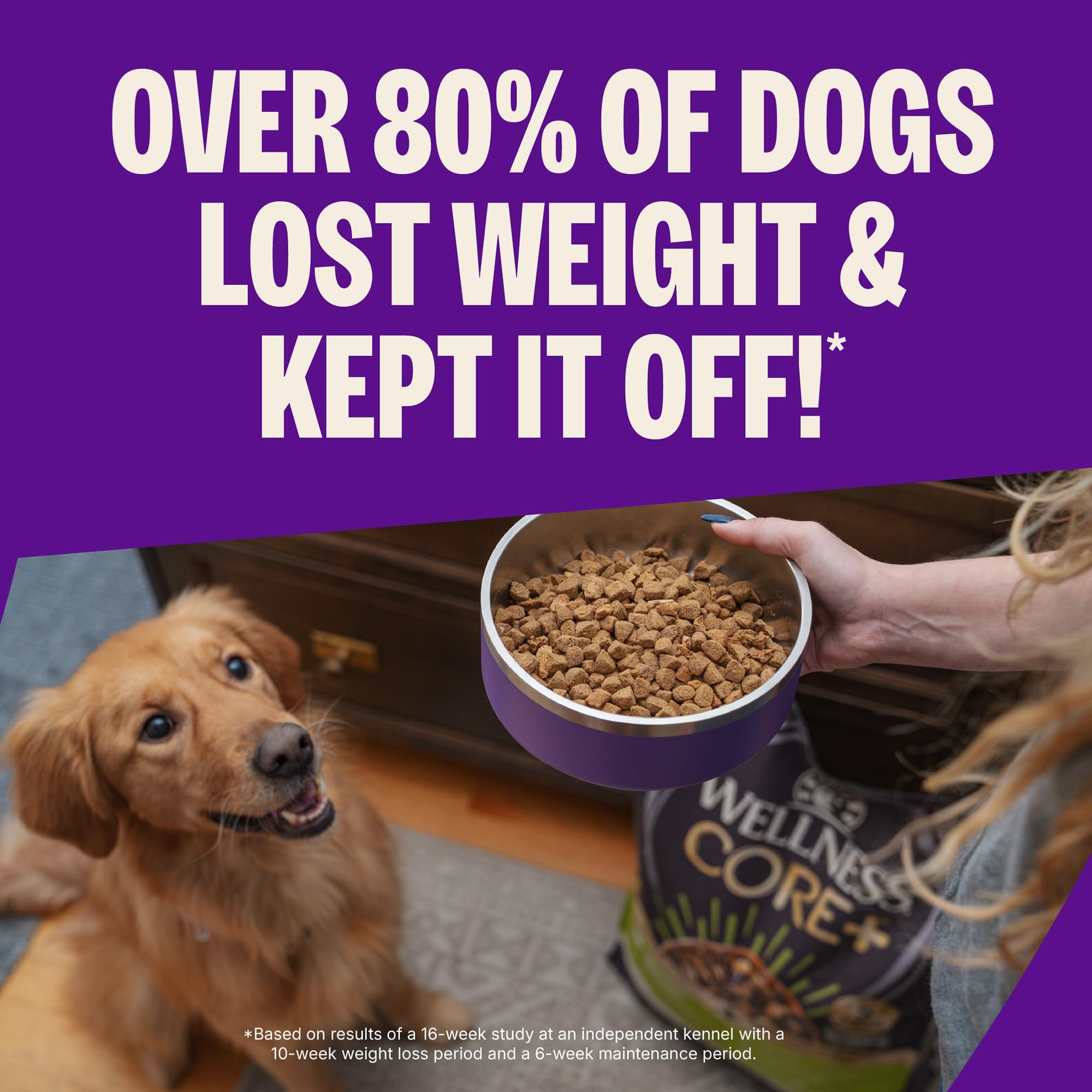 Wellness CORE ingrédients-naturels-poulet-dinde: protéines de qualité pour chien adulte.