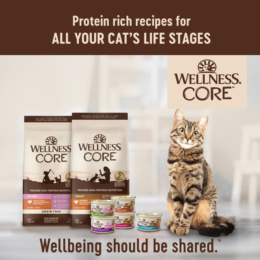 Wellness CORE Pâté Chat boîte intérieur, parfait pour repas variés et équilibrés.