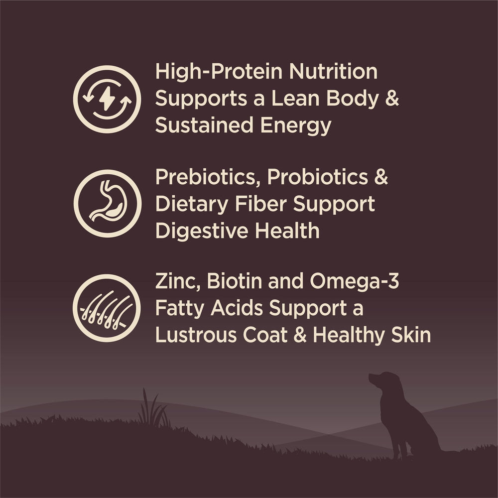 Wellness Core Petite Chien : probiotiques et fibres pour digestion.