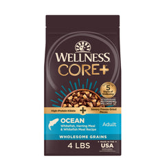 Wellness CORE+ croquettes pour chien adulte dans bol, texture croquante et riche en protéines.