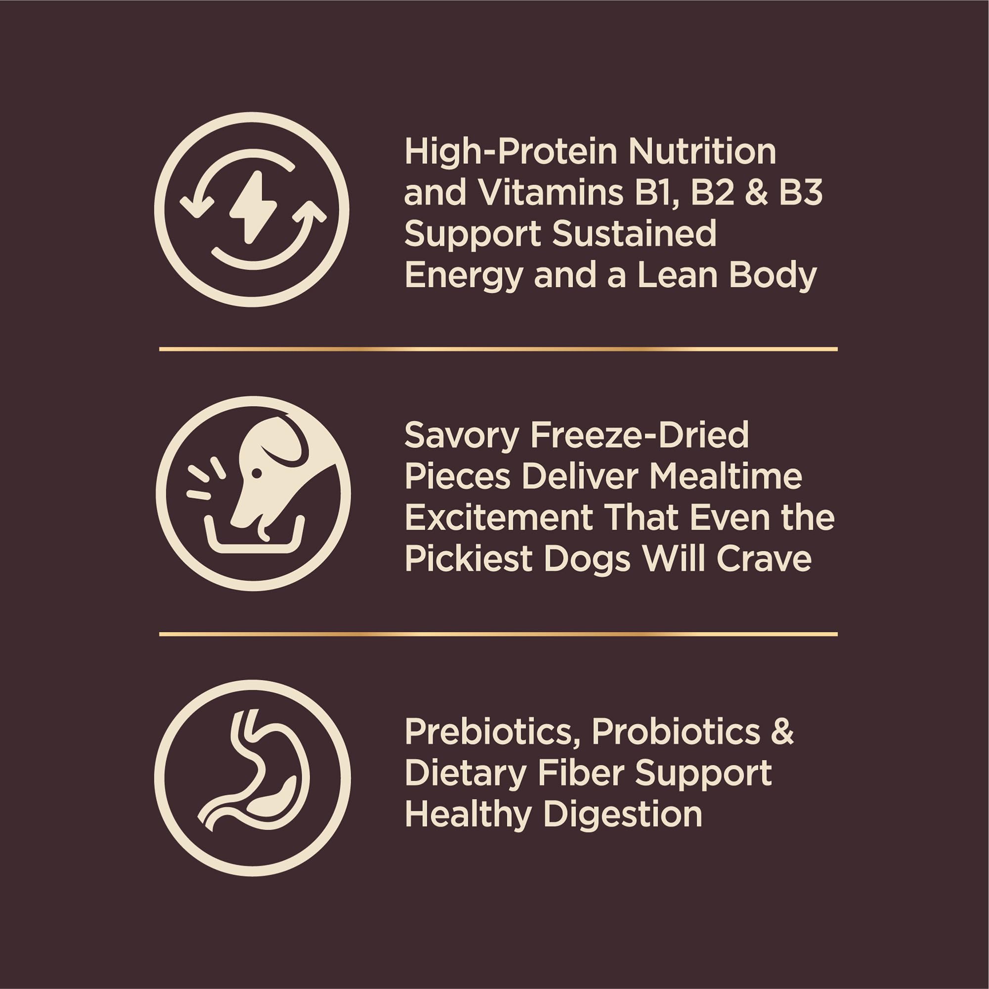 Bol chien petite race avec Wellness CORE+ pour repas savoureux.