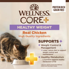Wellness CORE+ Chat – sans céréales, ingrédients naturels pour soutien nutritionnel.