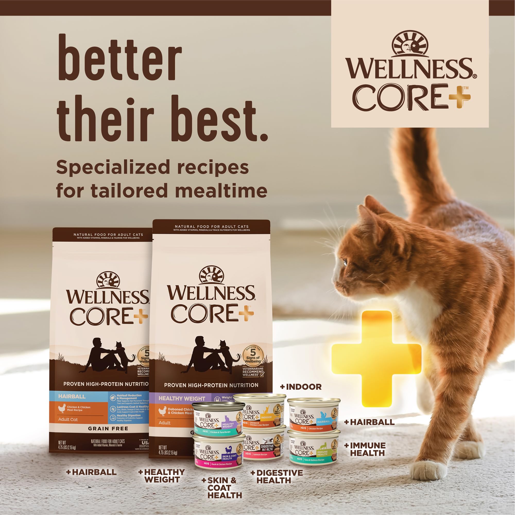 Wellness CORE+ Chat – texture croquante appréciée par les chats.
