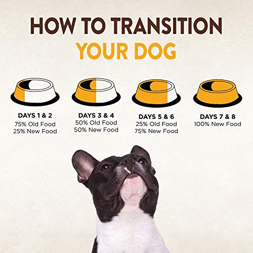 Wellness CORE+ Chiots: texture croquante et morceaux lyophilisés pour variété.