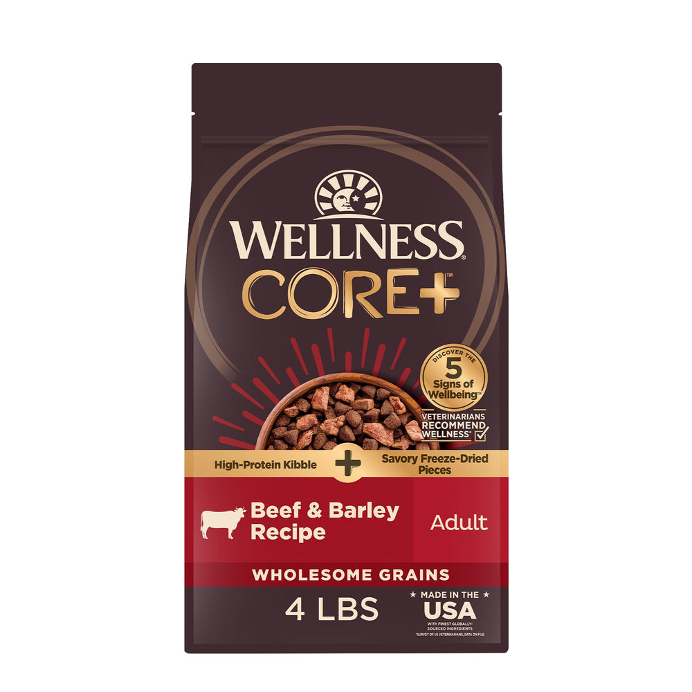 Wellness CORE+ croquettes pour chien adulte, texture croquante et protéines complètes pour l’énergie quotidienne.