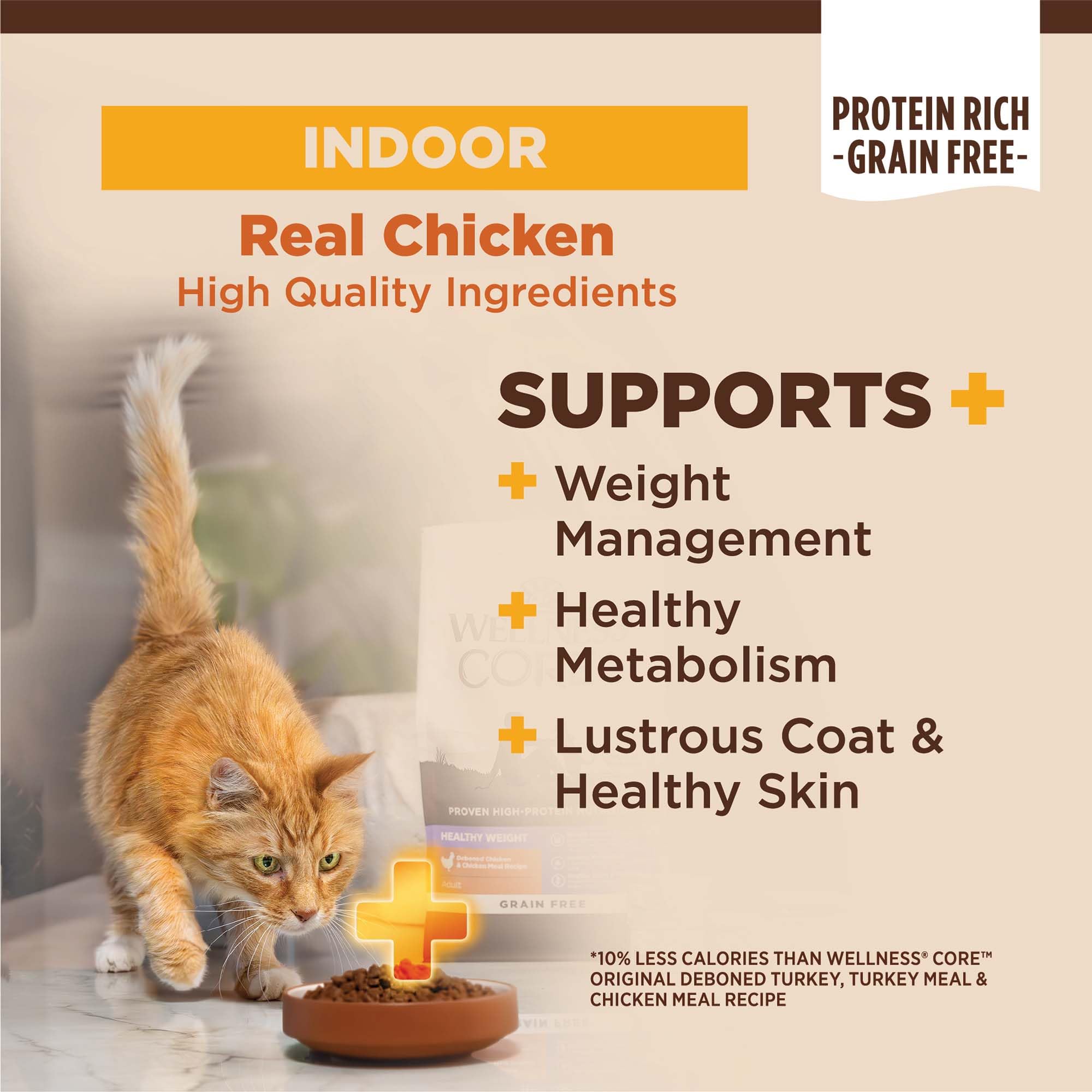 Wellness CORE+ croquettes pour chat intérieur dans bol: texture attrayante.