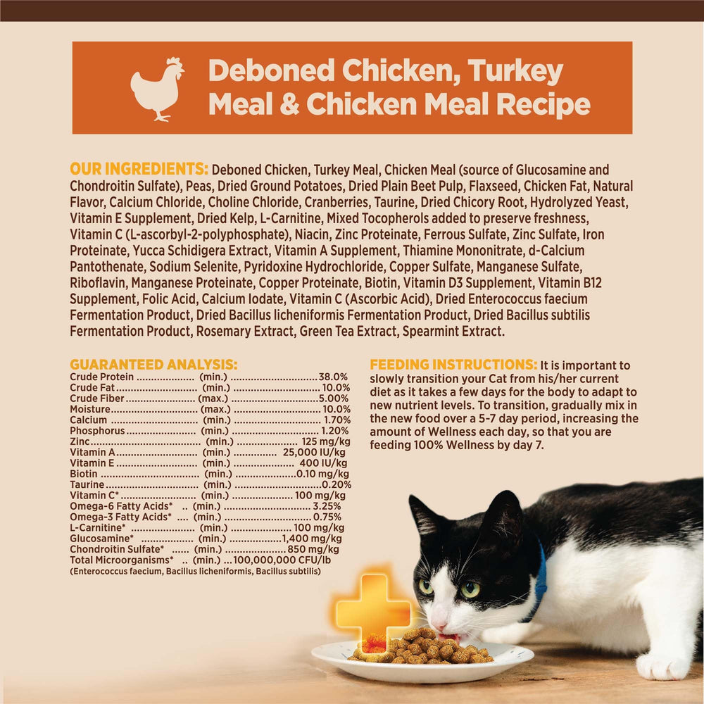 Wellness CORE+ croquettes pour chat intérieur peau et pelage brillants.