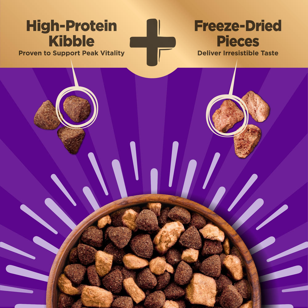 Wellness CORE+ croquettes protéinées pour chien actif et tonique.