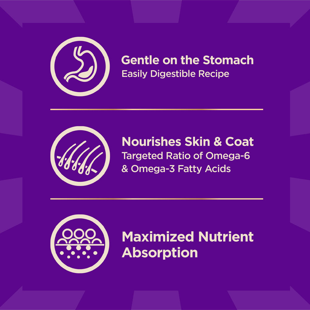 Wellness CORE+ glucosamine-taurine-coeur soutient articulations et cœur.